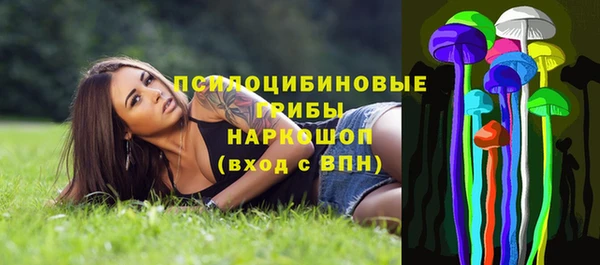 трава Аркадак