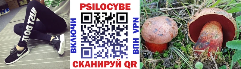 Псилоцибиновые грибы мицелий Серафимович
